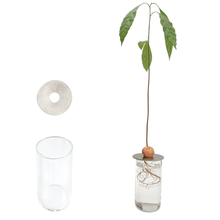 PROPAGATION SET - RT1home