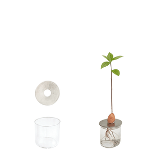 PROPAGATION SET - RT1home