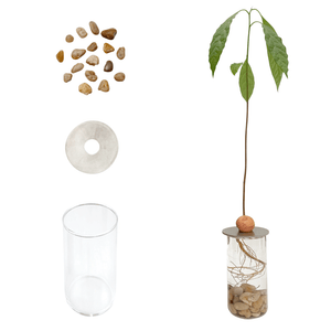 PROPAGATION SET - RT1home