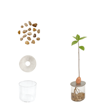 PROPAGATION SET - RT1home