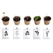 SEED STARTER POTS - RT1home