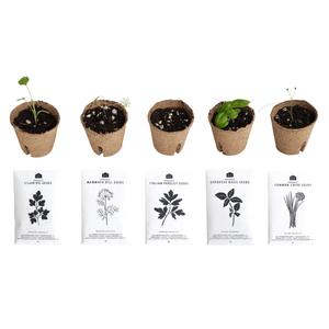SEED STARTER POTS - RT1home
