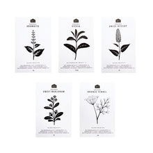 SWEET HERB SEEDS - PACK OF 5 - RT1home