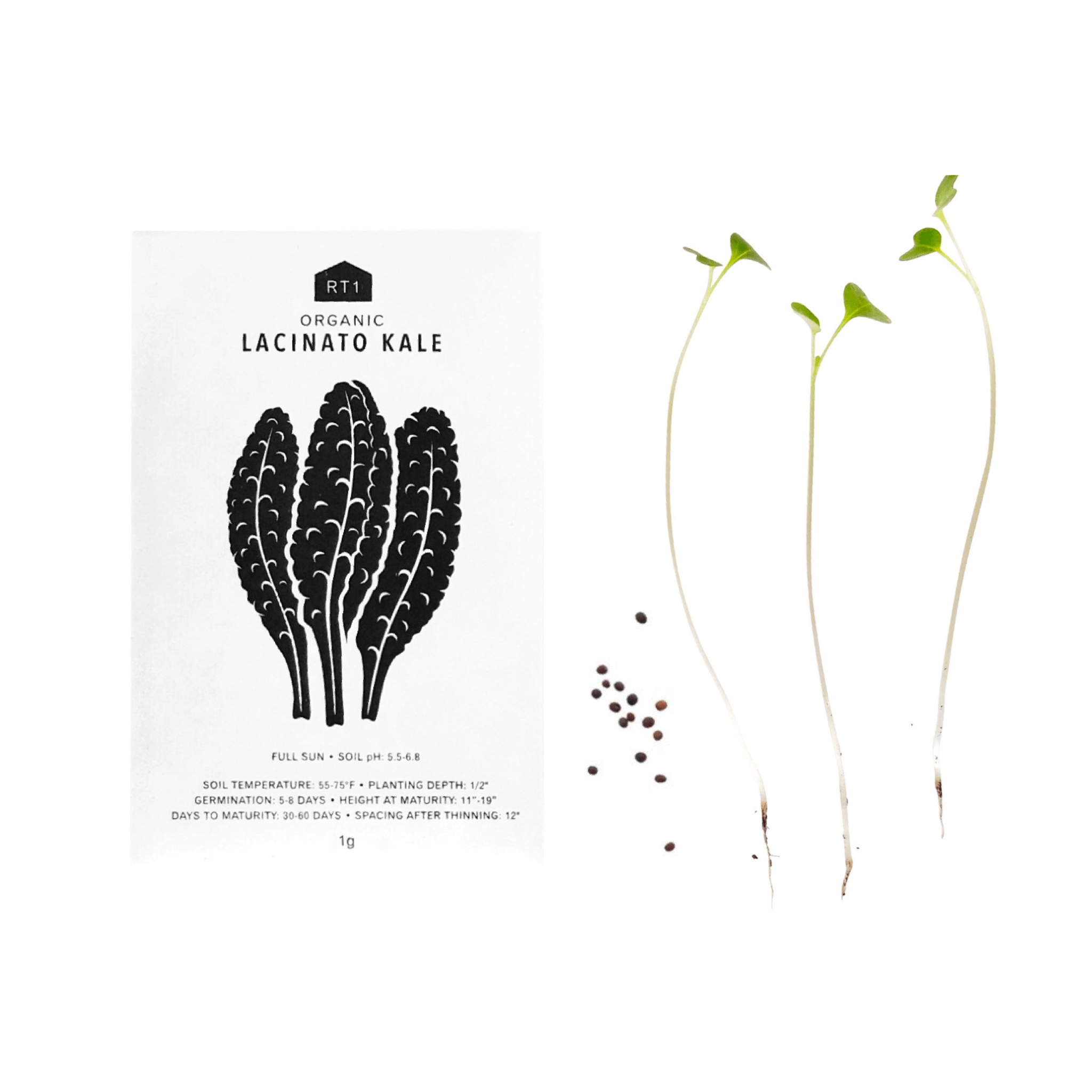 vegetable-seeds-pack-of-5-996029.png